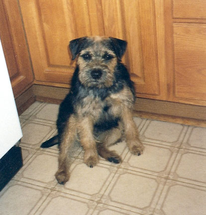 Tristan