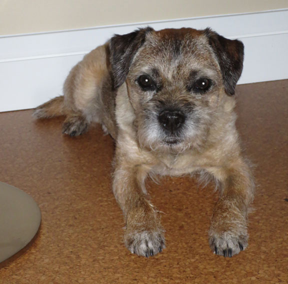 Hamish