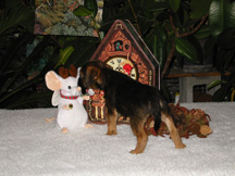 Midge
